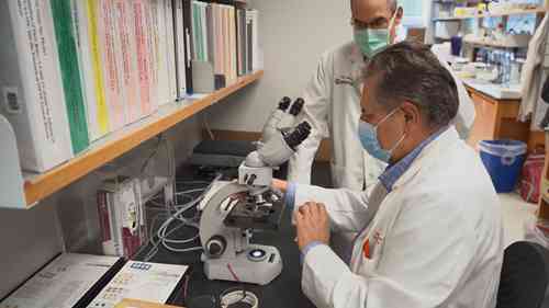 创新基因疗法逆转神经缺陷