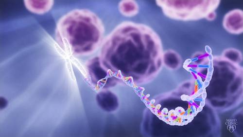 什么是基因组测序