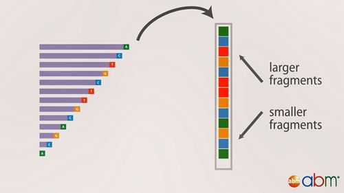 下一代测序技术