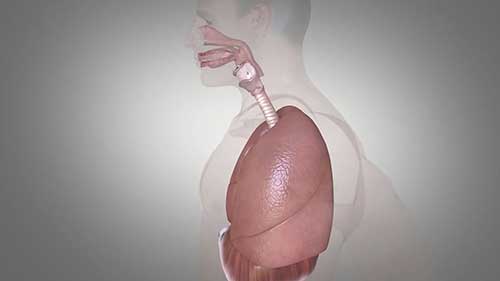 通气基础知识：闭合气量