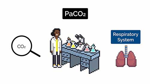 动脉血气分析解读