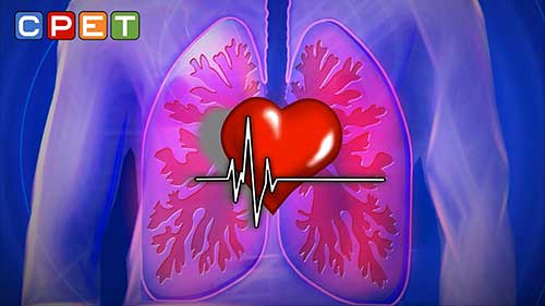 心肺功能运动试验