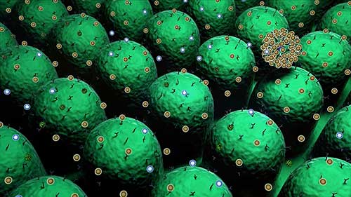 气道高反应性：痰分析