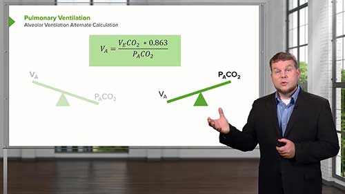呼吸和肺力学：肺部通气