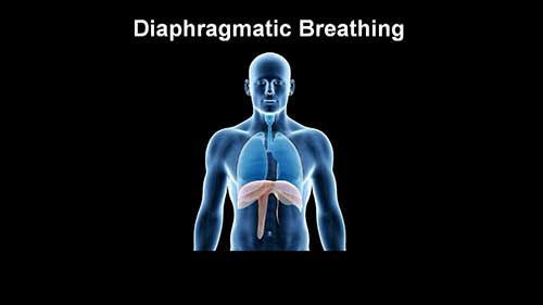 横膈膜呼吸法：简述