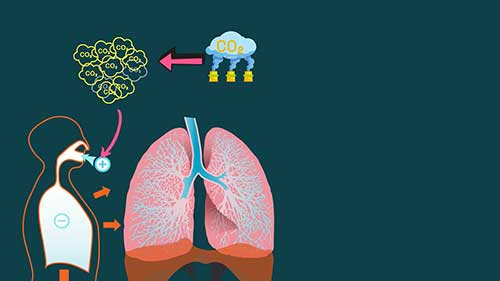 什么是二氧化碳麻醉