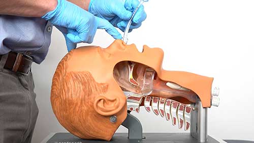 鼻咽通气道插入指导