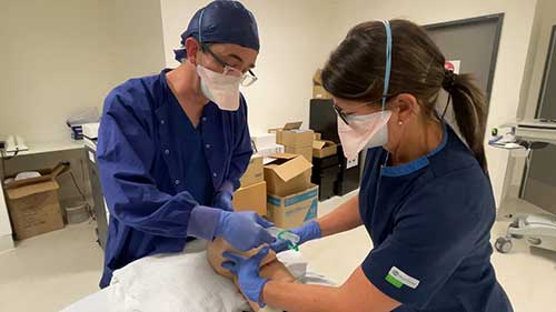 I-gel喉罩气道管理