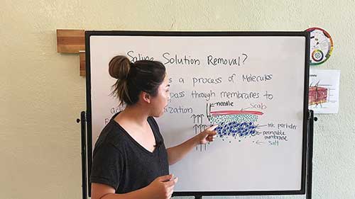 使用盐酸溶液去除文眉