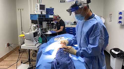 全面了解面部脂肪移植