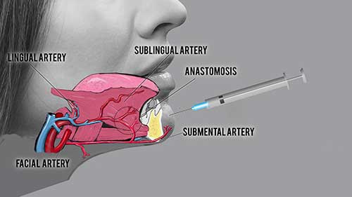 六大美容解剖课程