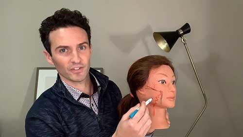 美容注射解剖图解：脸颊和下颌