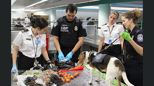 疾控中心检疫站