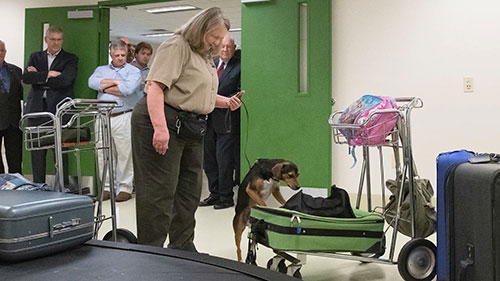 美国动植物卫生检验局的历史