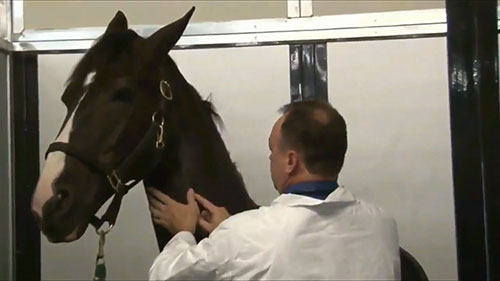 入境马匹检验检疫办法