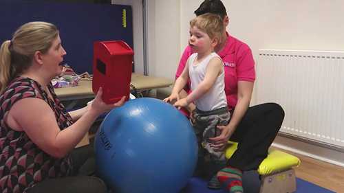 神经生理学疗法：Bobath技术