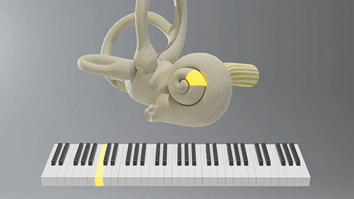 如何预防听力损失