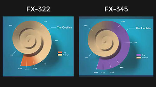听力损失恢复药物