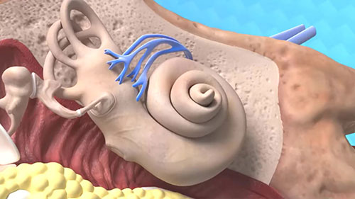 干细胞治疗听力损失和耳鸣