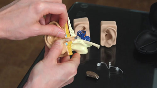 成人助听器的佩戴及调试