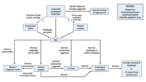 吞咽障碍的病因及评估