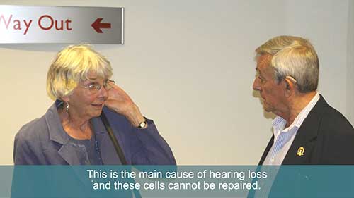 助听器04适应期