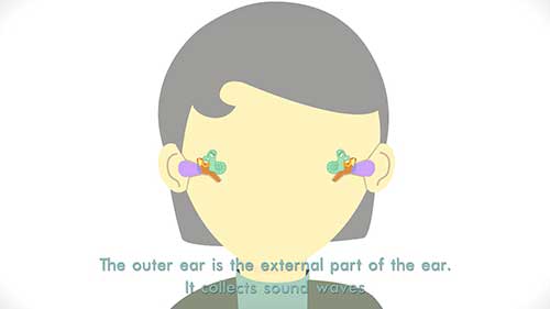 传导性听力损失