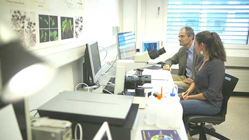 遗传性耳聋的基因疗法