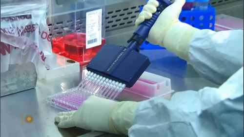 公共卫生是如何运作的