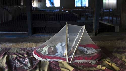 病媒生物控制概述