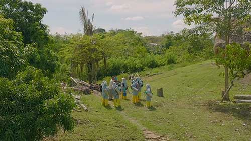伯利兹病媒生物控制计划