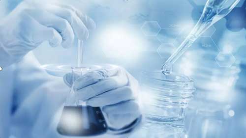 健康促进策略和方法