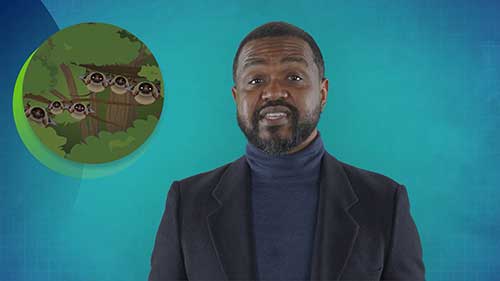 如何为下一次大流行做好准备