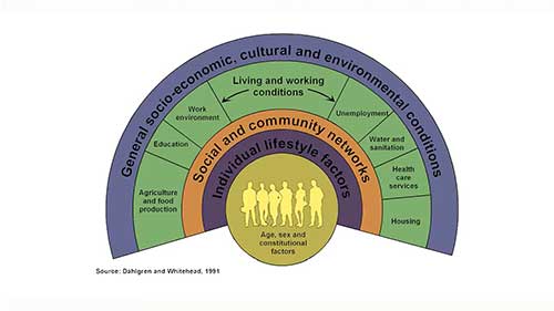 卫生系统讲座：提供卫生服务