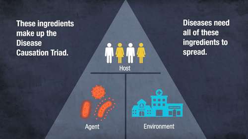 环境卫生服务的重要性