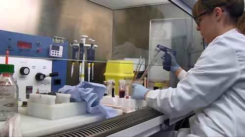 利用液体活检寻找肿瘤细胞