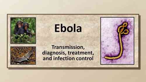 埃博拉的传播与控制
