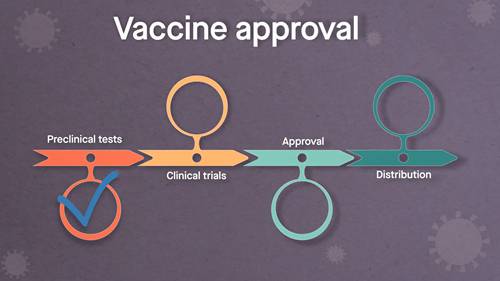 疫苗如何对抗病毒