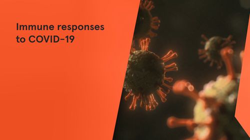 新型冠状病毒肺炎的免疫反应
