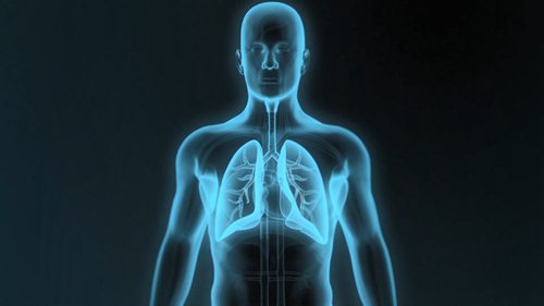 预防粉尘性疾病