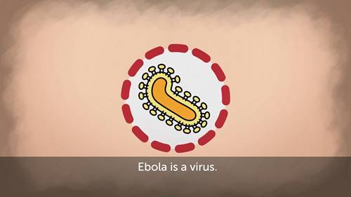 埃博拉的预防和治疗