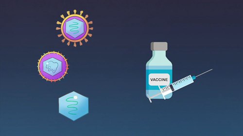 甲肝的预防和治疗