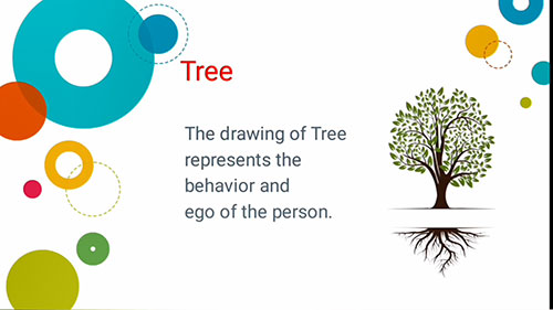 心理学绘画测验：画树测验