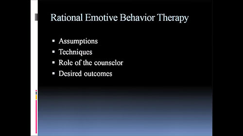 理性情绪行为疗法概述