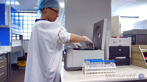 墨尔本体外受精实验室之旅