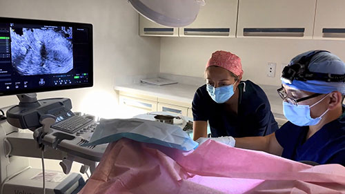 如何为成功的胚胎移植做准备