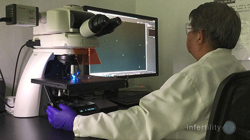 如何提高怀孕几率