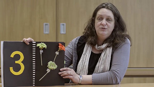 视障儿童如何阅读