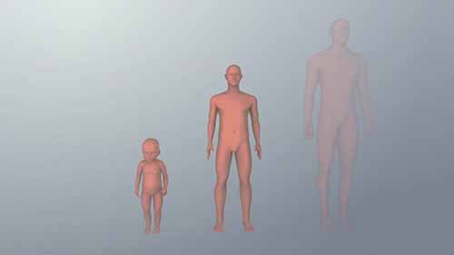 辐射的生物影响