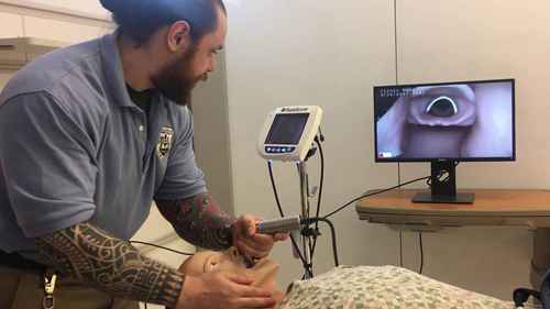 如何正确放置气管内导管